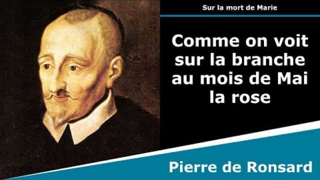 Video Comme on voit sur la branche au mois de Mai la rose - Sonnet - Pierre de Ronsard su italiano