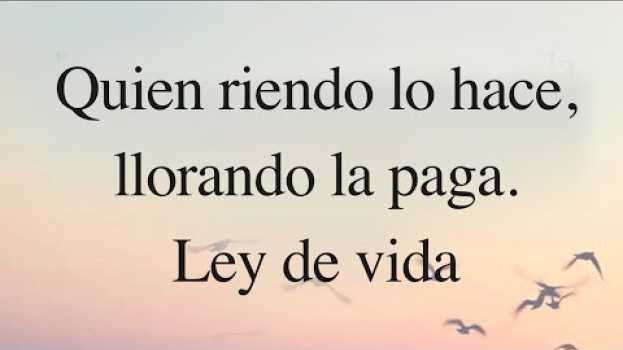 Video 🦋 Quien riendo lo hace, llorando la paga. Ley de vida in English