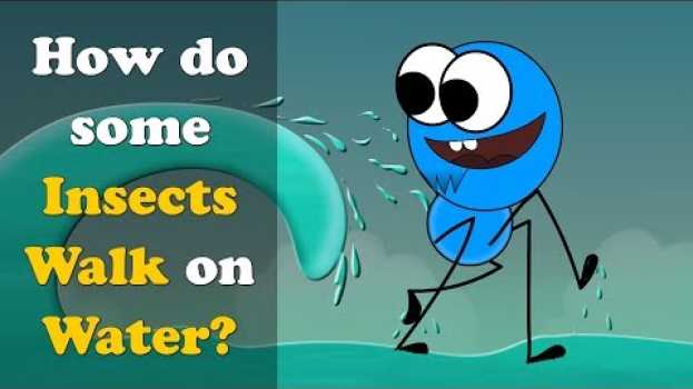 Видео How do some Insects Walk on Water? + more videos | #aumsum #kids #science #education #children на русском