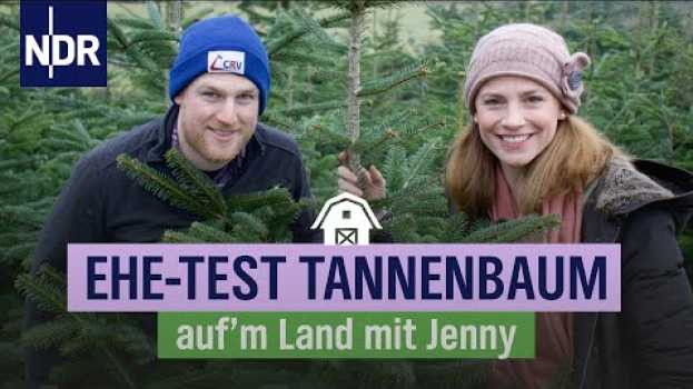 Video Alle Jahre wieder: Wer setzt sich durch beim Weihnachtsbaumkauf? | Folge 4 | NDR auf'm Land su italiano