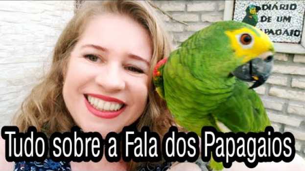 Видео Tudo Sobre a Fala dos Papagaios на русском
