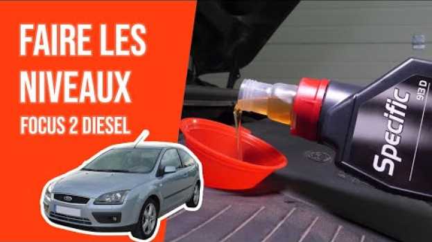 Video Faire ses niveaux Focus 2 1.8 TDCI 📏 em português