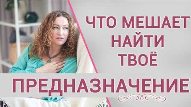 Video Предназначение человека на земле и смысл его существования su italiano