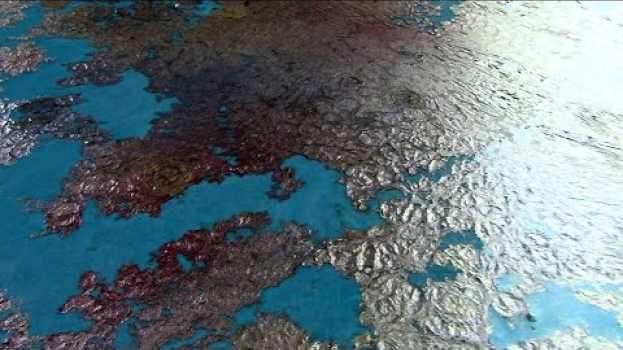 Video Fluid(461) Acrylbinder, Spraypaint, Wodka. Liebe den Effekt in English