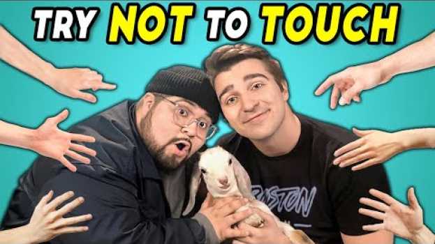 Video Try Not To Touch Challenge (React) en français