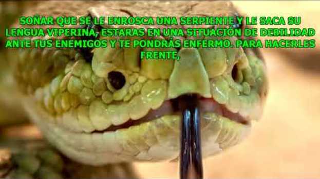 Video PORQUE TUVE UN SUEÑO CON SERPIENTES, ESO ES BUENO O TENGO QUE TENER CUIDADO??? AQUÍ LA RESPUESTA in English