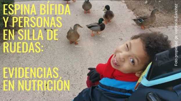Video Espina bifida y personas en Silla de Ruedas: evidencias en nutricion #EspinaBifida #SillaRuedas su italiano