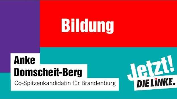 Video BTW21: Anke Domscheit-Berg zu Bildung im Wahlprogramm DIE LINKE po polsku