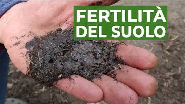 Video Fertilità del SUOLO, il metodo dell'acqua ossigenata  | ORTO en español