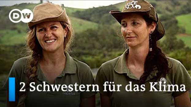 Video Brasilien: Aufforstung im einstigen Regenwald | Global Ideas en español