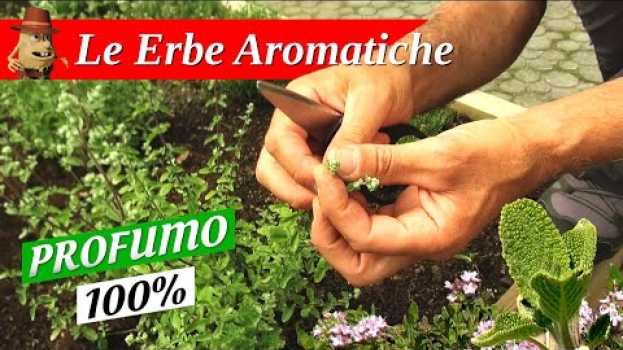 Video I Segreti delle Erbe Aromatiche - Parte 1 en français