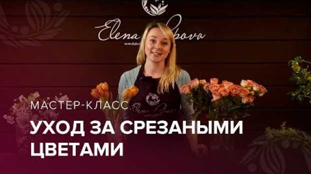 Video Уход за срезанными цветами ⎥ Как сохранить букет? en français