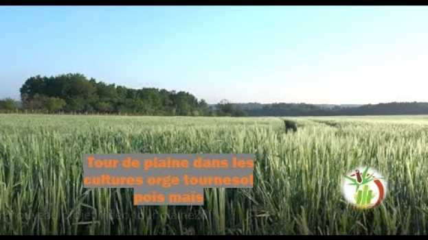 Видео tour de plaine avril ou en sont les tournesol et divers cultures на русском