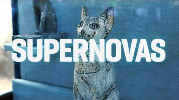 Video Tumba egípcia guardava dezenas de múmias de gatos há 6 mil anos po polsku