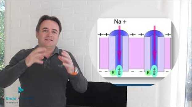 Video Réponse d'expert #54   Vious aussi vous ratez des tronculaires mandibulaires ? in English