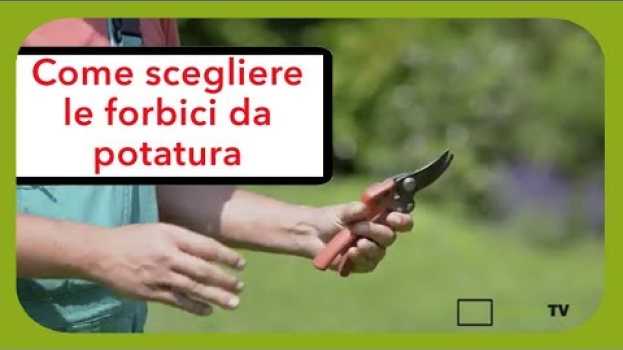 Video Quale forbici da potatura scegliere - Consigli sulla forma delle lame en español