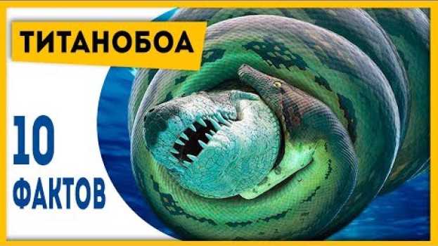 Video ХОРОШО, ЧТО ЭТОТ ЗМЕЙ ВЫМЕР! 10 фактов о титанобоа! | Динозавры и другие вымершие животные! auf Deutsch