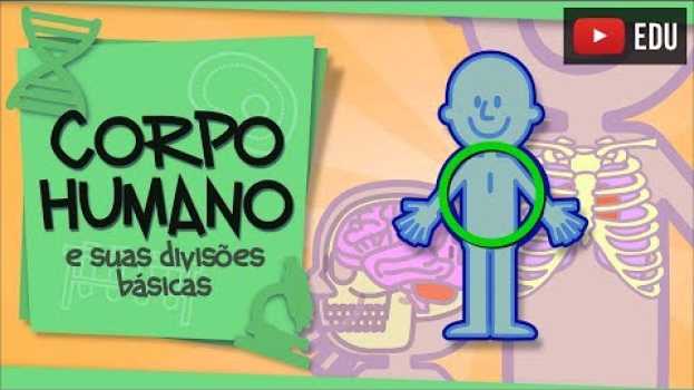 Video Corpo Humano - suas divisões básicas auf Deutsch