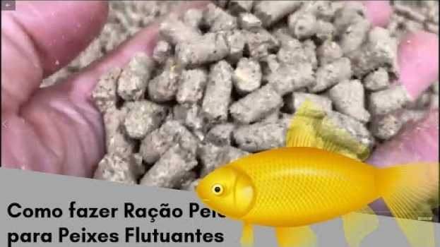 Video Como Fazer Ração em Pelotas Flutuante Para Peixes. #ração #pellets #pelletmill #pelete su italiano
