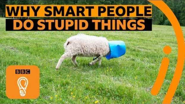 Video Why smart people make stupid mistakes | BBC Ideas   türkçe