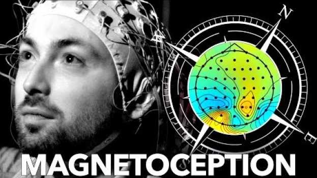 Video Can Humans Sense Magnetic Fields? po polsku