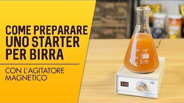 Video Come preparare uno starter  per birra con l'agitatore magnetico 🍺 en français