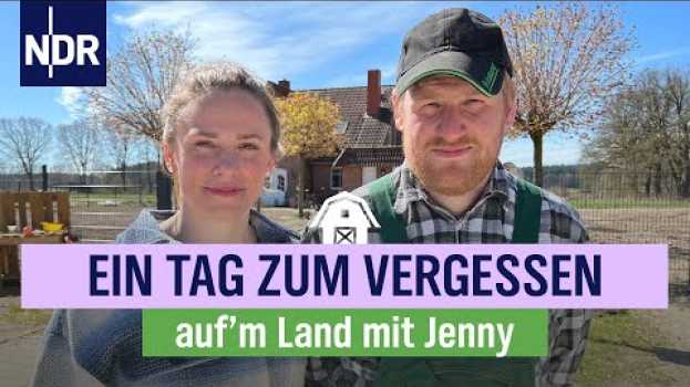 Video Krank auf dem Hof - Jenny und Sven Ole müssen trotzdem arbeiten | Folge 11 | NDR auf'm Land po polsku