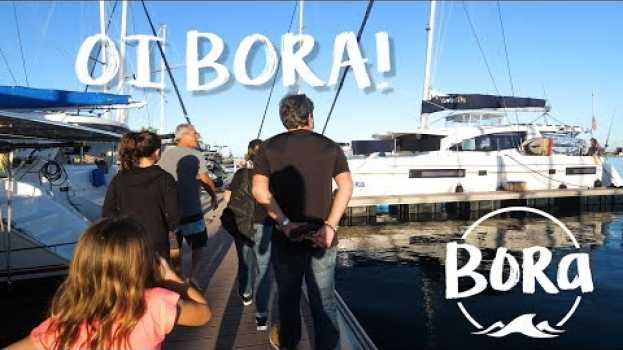 Видео BORA #155 - DE VOLTA AO BORA! Mas antes precisamos achar a Lola (English/Spanish CC) на русском