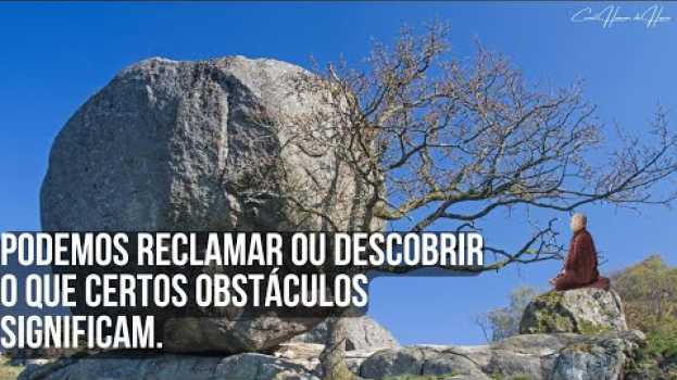 Video O SÁBIO E A PEDRA (Uma Grande lição de vida)   türkçe