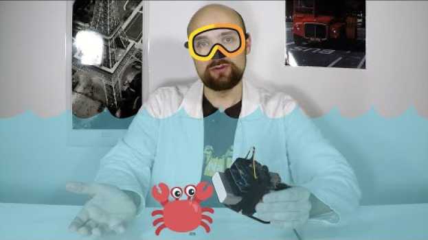 Video Les marées : attention, l'eau ça mouille ! | À vous la science #5 in English