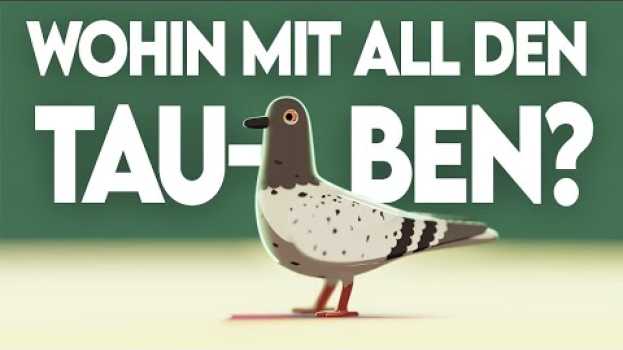 Video Wohin mit all den Tauben? po polsku
