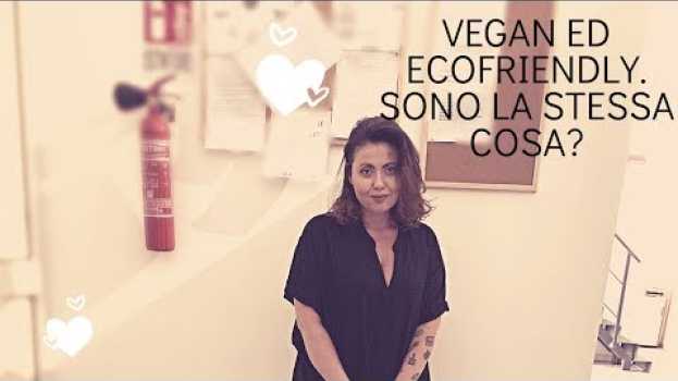 Video Ecofriendly, Vegan o tutte e due? Come sono le tue borse.   türkçe