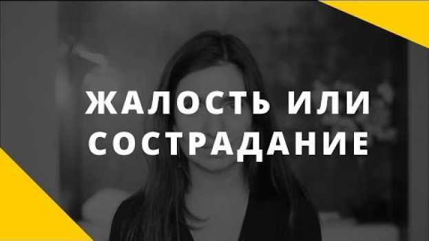 Video Жалость или сострадание: в чем разница? en français