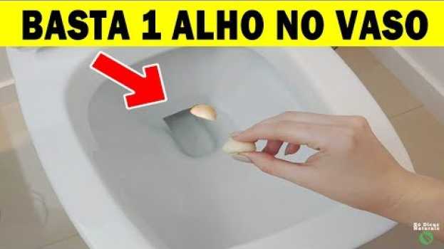 Video Coloque 1 ALHO No VASO Antes de Dormir e Quando Acordar Você Vai PIRAR Com o Resultado   türkçe