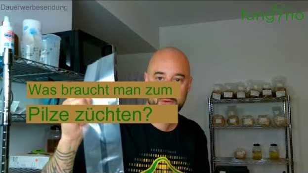 Video Pilze züchten - Was braucht man um selbst Pilze zu züchten? Pilzzucht FAQ #1 su italiano