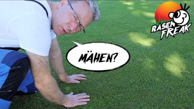 Video Eine Woche nach der Herbstoffensive - mähen? in English