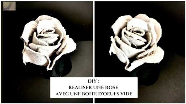 Video DIY : ROSE AVEC UNE BOITE D'OEUFS in English