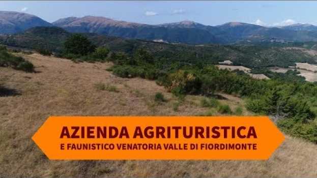 Video Valle di Fiordimonte. Caccia, natura e cinofilia tutto l'anno in English