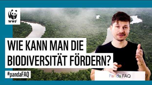 Video Wie kann man Biodiversität fördern? Autocomplete Challenge mit Naturschutzpolitik-Experte #pandaFAQ en español