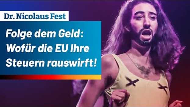 Video Folge dem Geld: Wofür die EU Ihre Steuern rauswirft! – Dr. Nicolaus Fest (AfD)   türkçe