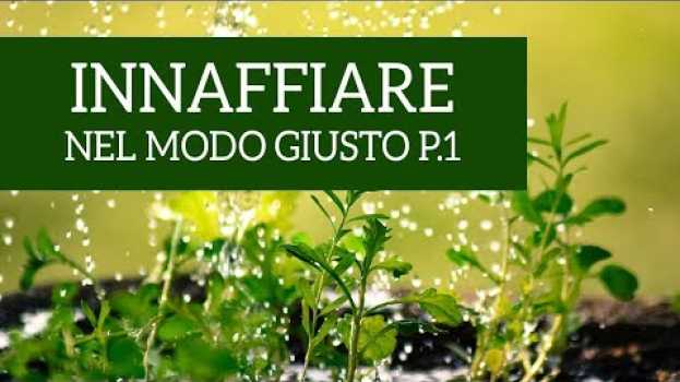 Video Come innaffiare le piante nel modo giusto! (Parte 1) em português