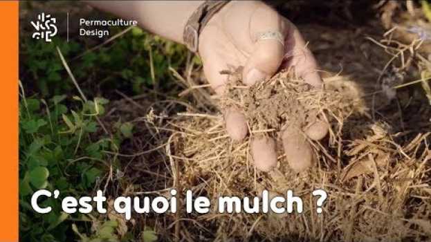 Video C’est quoi le mulch ? auf Deutsch