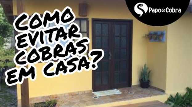 Video O que você deveria saber para evitar cobras dentro da sua casa. in English