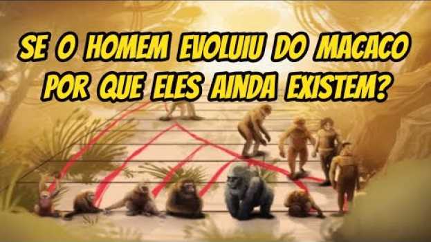 Видео Se o homem evoluiu do macaco por que eles ainda existem? на русском