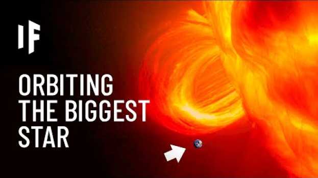 Video What If Earth Orbited UY Scuti?   türkçe