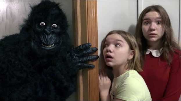 Video GORILLA IN OUR HOUSE. auf Deutsch