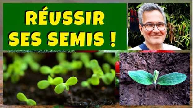 Video Semis : 10 erreurs à éviter pour réussir ses semis au jardin potager en español