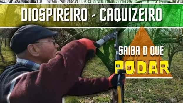 Video Como PODAR um DIOSPIREIRO - CAQUIZEIRO en français