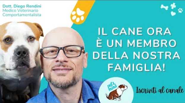 Video Il cane ora è un membro della nostra famiglia! in English