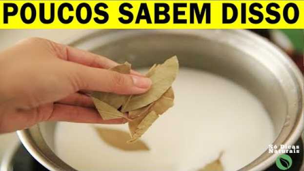 Video 🌱Minha Nossa! Se Eu Soubesse Disso Antes! 5 Benefícios da FOLHA De LOURO Que Vão Te Surpreender! su italiano